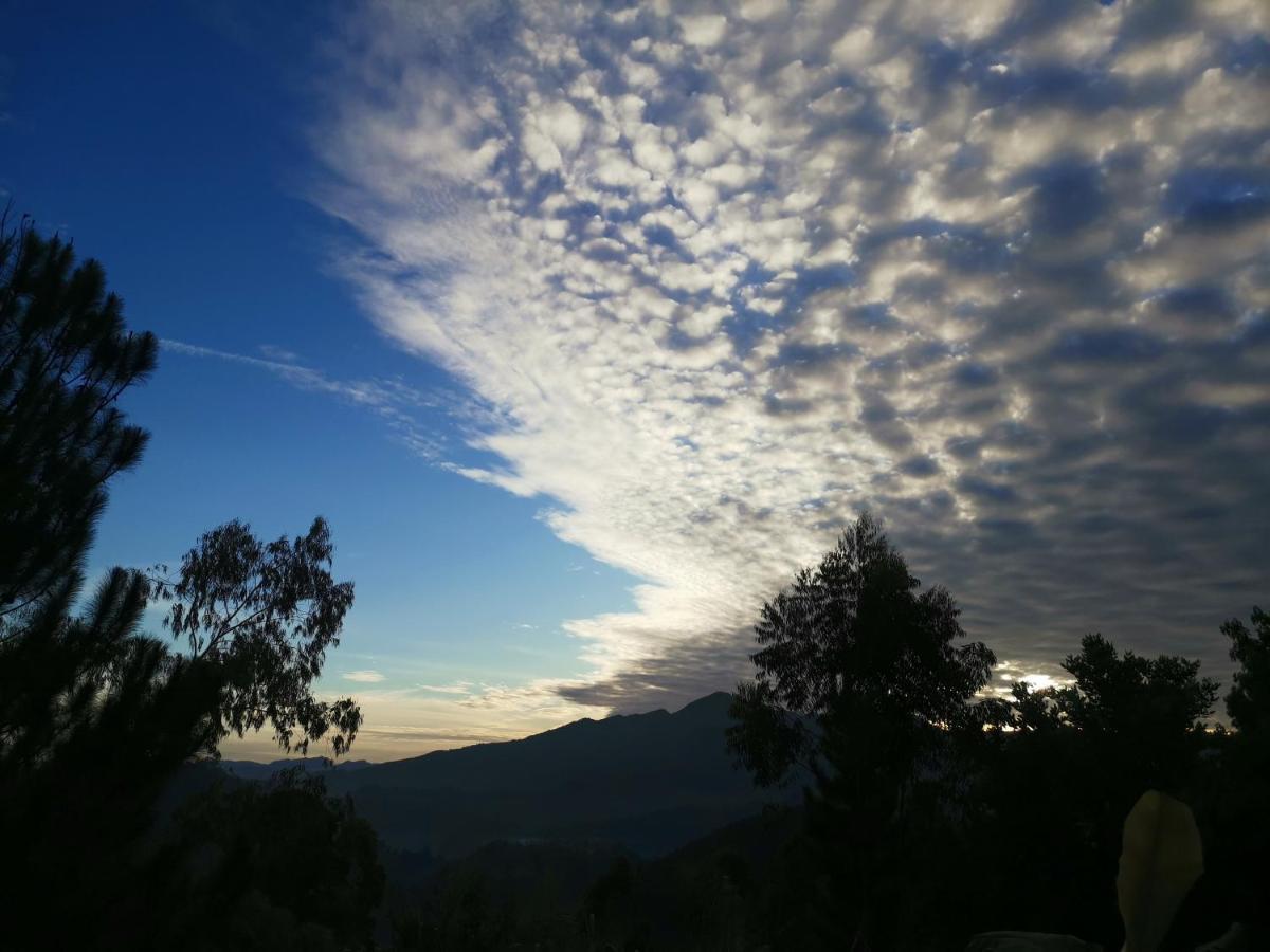 مبيت وإفطار Mountain Peak إيلا المظهر الخارجي الصورة