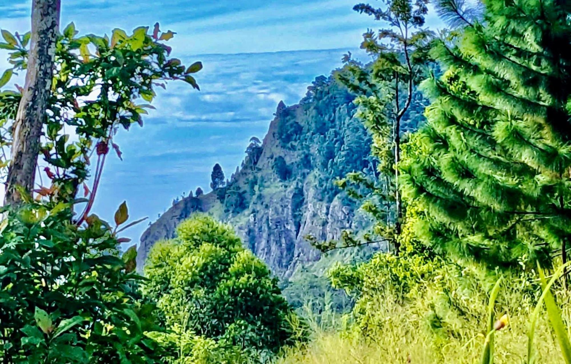 مبيت وإفطار Mountain Peak إيلا المظهر الخارجي الصورة